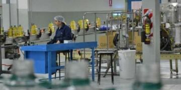 Qué ganas de ser aceitero: lograron un bono de $52 mil