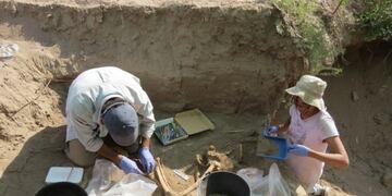 Alumnos de la Cátedra de Bioarqueología trabajando\u002E