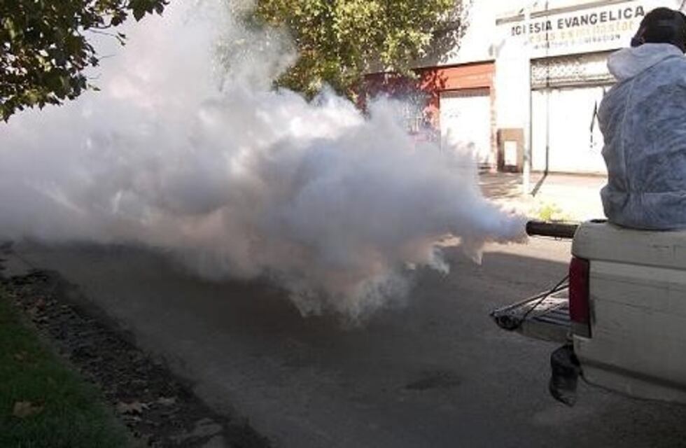 Fumigación: cronograma de la semana