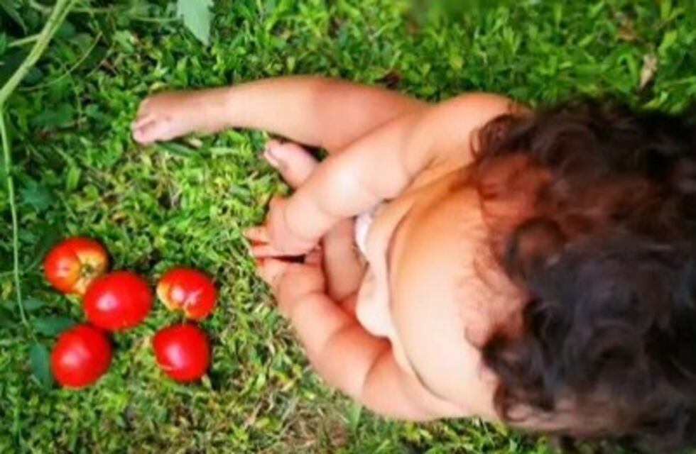 Nueva puja judicial de la familia solidaria para que "Peque" vuelva a su hogar