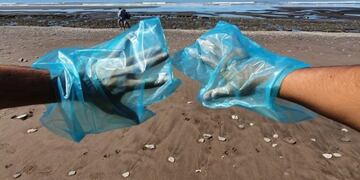 Limpieza de playa en Villa del Mar.