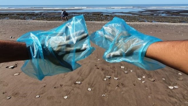 Limpieza de playa en Villa del Mar.
