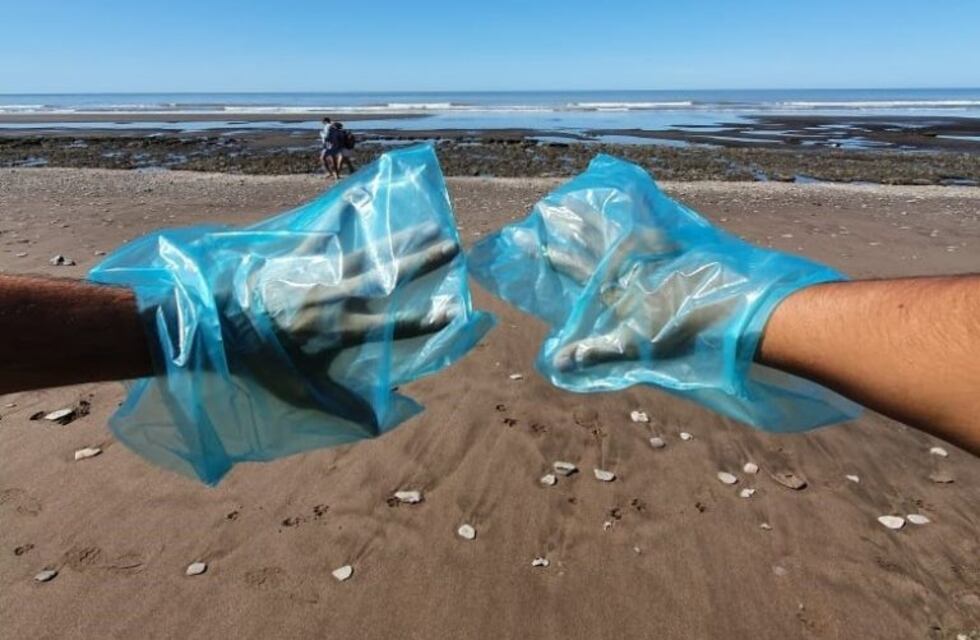 Se realizará el 6° censo y limpieza de playas en Villa del Mar
