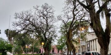 Mañana con frío pero con el cielo despejado\u002E
