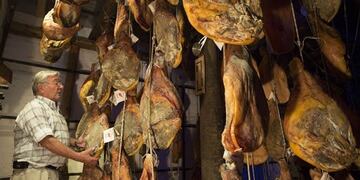 La posada del jamón mendoza tunuyán