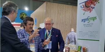 Legumbres jujeñas en China