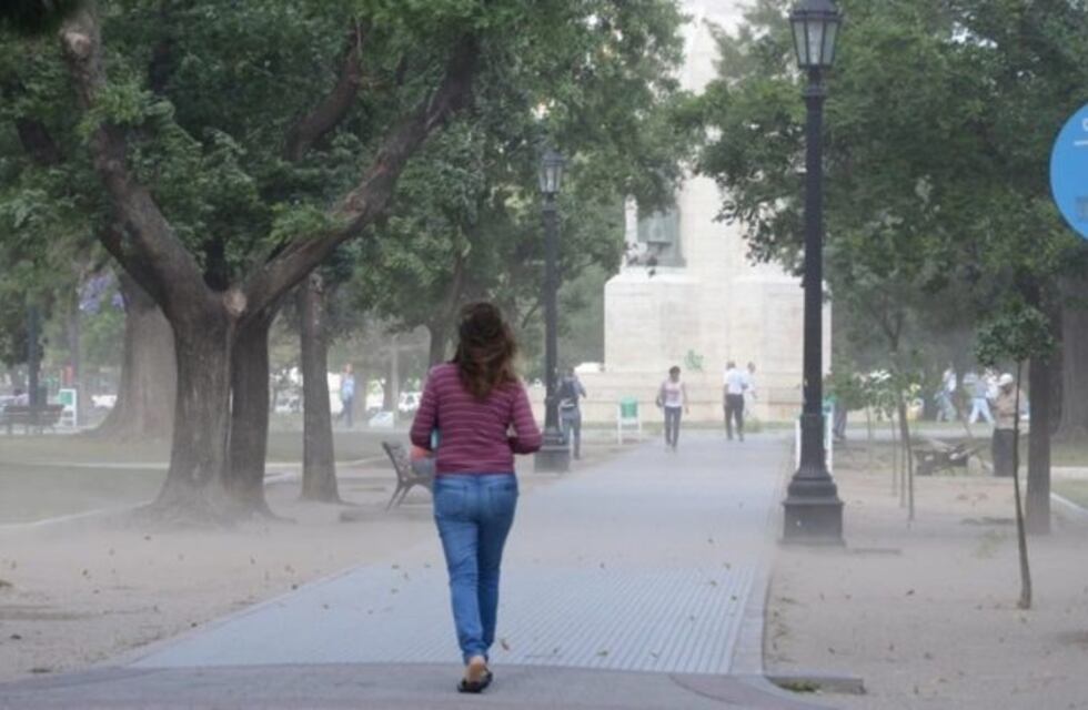 Alerta por fuertes vientos en Bahía: parques cerrados y ramas caídas