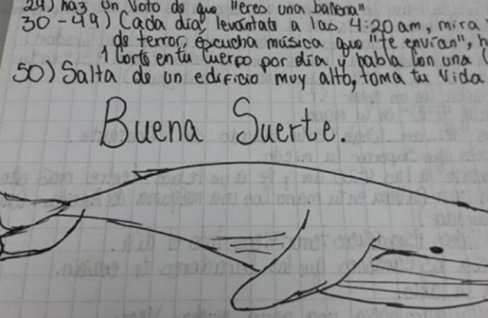El trágico juego de la Ballena Azul: el nene de Carlos Paz sufrió acoso escolar