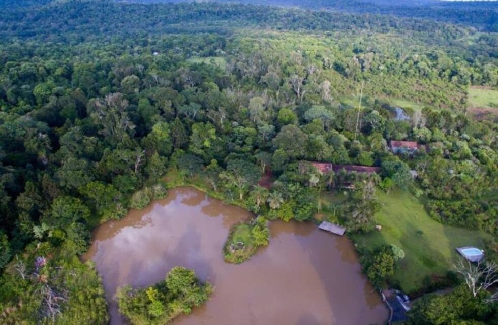Farjat fue asesinado a machetazos y el agresor partió pensando que había matado a su ex