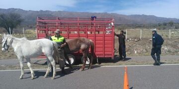 Fue ayer a la tarde, en el kilómetro 30 de la Autopista 25 de Mayo, jurisdicción de la comisaría de Villa de la Quebrada\u002E Foto: Policía de San Luis\u002E