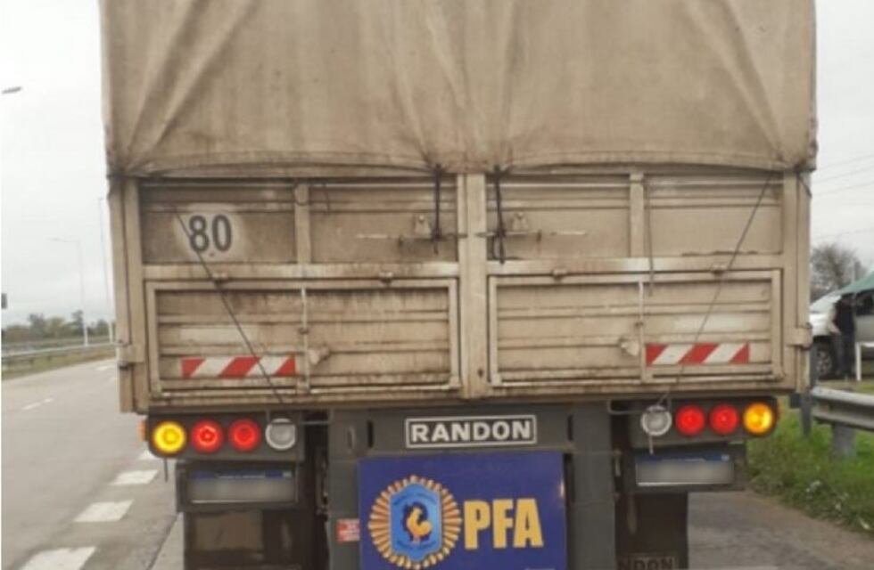 Llevaba en un camión 30.000 kilos de soja sin declarar: le secuestraron la carga