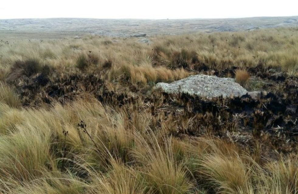 Video: El lado sucio del rally