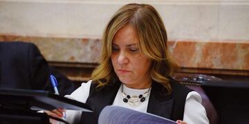 Miriam Boyadjian, Senadora fueguina