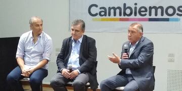 Una mujer precandidata en la La interna de Cambiemos\u002E Cercana a Mario Negri\u002E