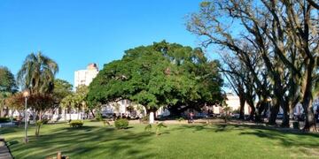 Mañana calurosa, como para quedarse en casa\u002E