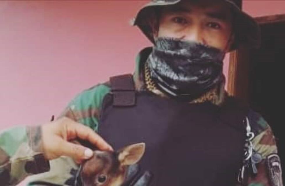 Rescataron un venado que se refugió en una casa de Andresito