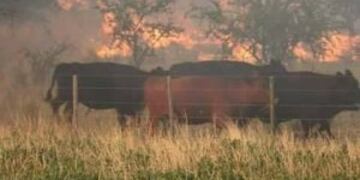 Incendios en La Pampa