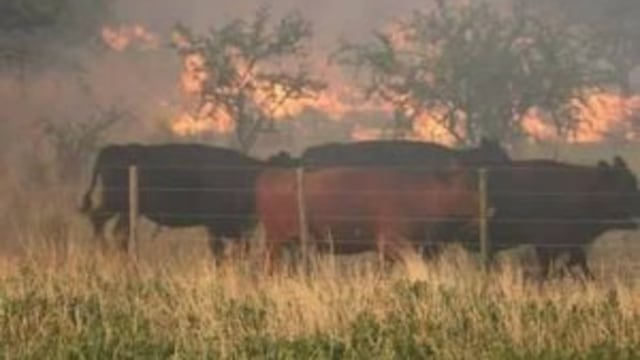 Incendios en La Pampa