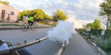 Los contenedores sanitarios son una acción complementaria de las fumigaciones\u002E