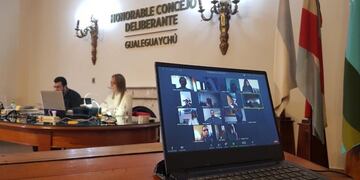 Sesión virtual HCD Gualeguaychú\nCrédito: Prensa MDG