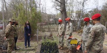 Trasplantan unos 200 plantines de algarrobo en Carlos Paz\u002E (Foto: prensa municipal)\u002E