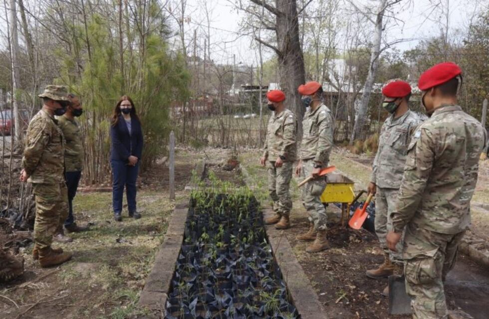 Carlos Paz: comenzó el trasplante de 200 plantines de algarrobo con la ayuda de soldados locales