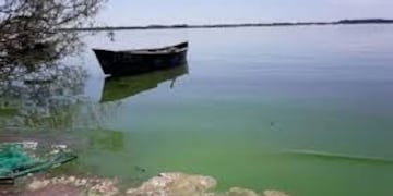 Aguas de color verdoso por algas microscópicas dañina para la salud\u002E
