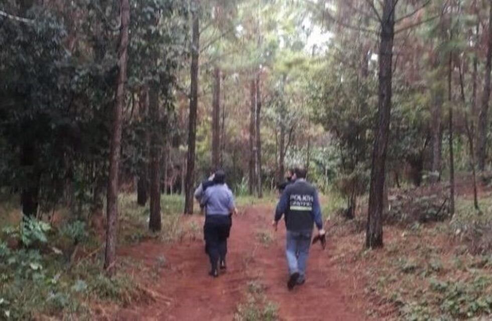 Gobernador Roca: fue a cazar tatús y murió asfixiado en una madriguera