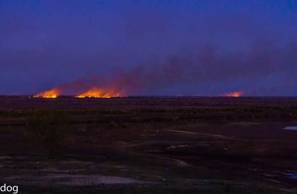 Quema de pastizales en la isla: la Municipalidad denunciará a los propietarios de los campos