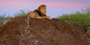 Facebook Ubuntu\u002E