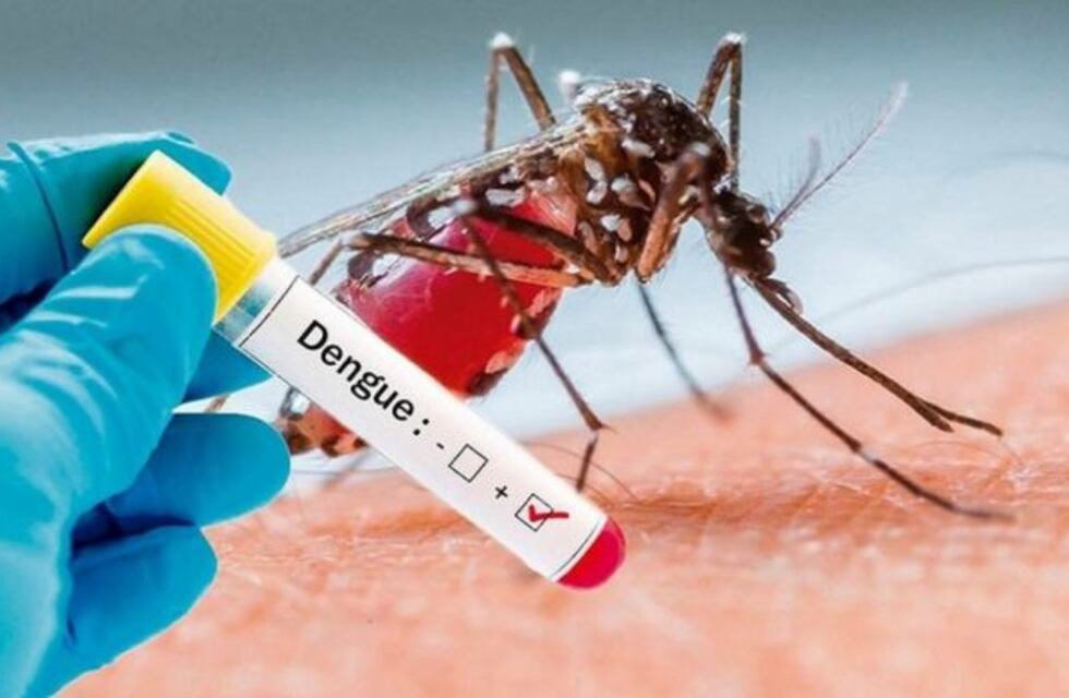 El dengue no da respiro: 289 casos positivos de 1156 notificados