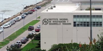 Se lleva a cabo campañas de evaluación de vieira Patagónica desarrollada por el INIDEP (web)