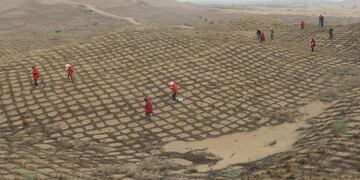 El desierto que floreció en China