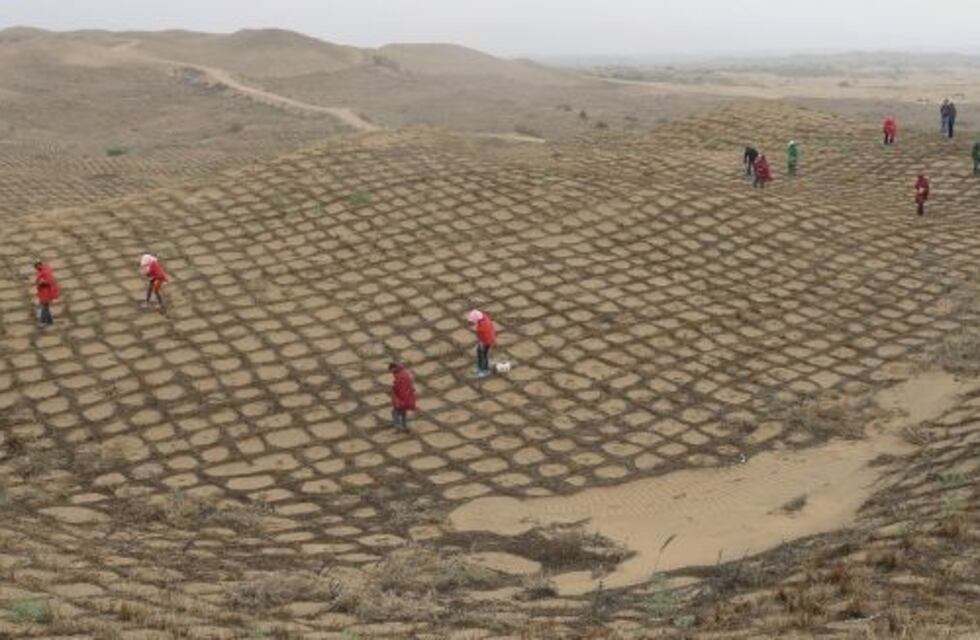 El desierto que floreció en China: cómo se transformó en un área completamente verde