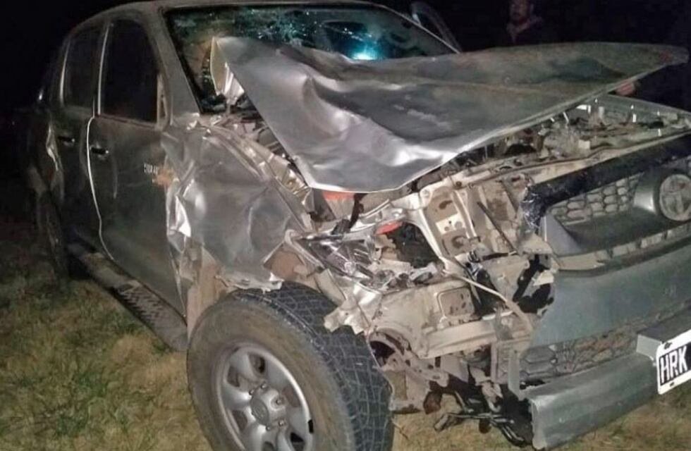 Chocó contra un caballo suelto en la ruta: el animal murió y el hombre sufrió varias heridas