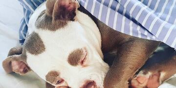 Madame Eywbrowns tiene su propia cuenta de Instagram con más de 136 mil seguidores\u002E