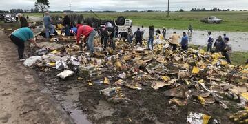 El camión volcó sobre la Ruta Nacional 33 entre Firmat y Villada y generó que mucha gente quisiera llevarse una caja de vino o bebida espumante\u002E (Radio Jota)
