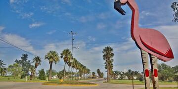 Clásico flamenco del acceso a Miramar de Ansenuza