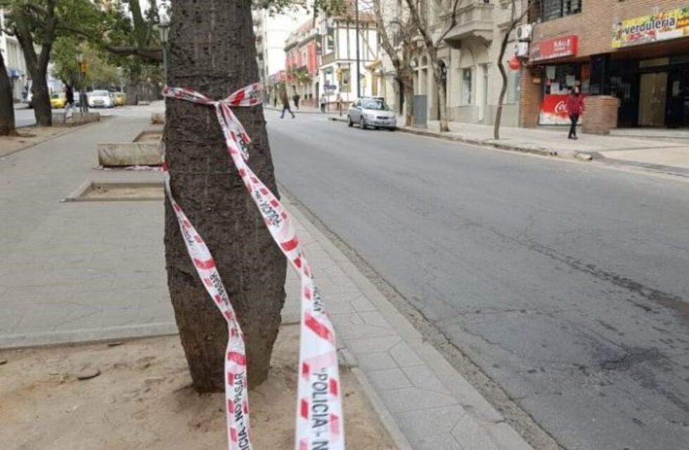 Detienen a quien atropelló a un joven en Nueva Córdoba y huyó