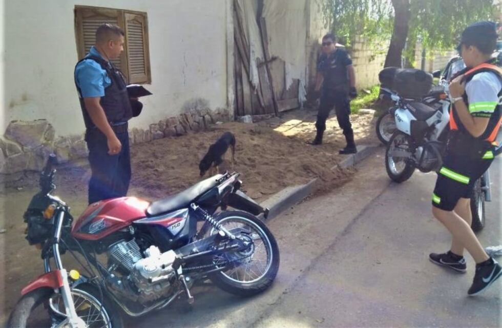 Motociclista chocó contra un árbol y tiene muerte cerebral