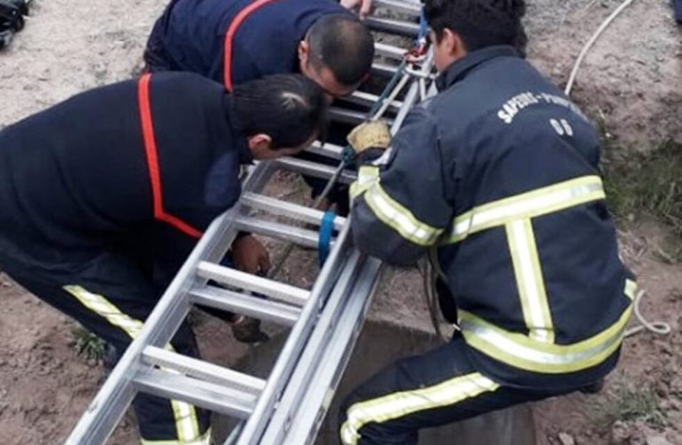 Video: bomberos de Luján rescataron a un perrito que cayó a un pozo