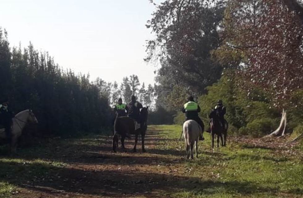 Continúan los rastrillajes en busca de Priscila Paz