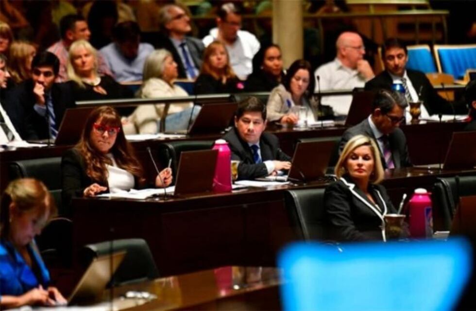 Misiones se adhirió a la ley que regula el uso del aceite de cannabis medicinal