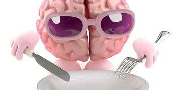Cu00f3mo regula el cerebro las ganas de comer\u002E