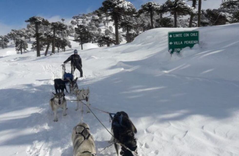 A pesar de las nevadas, una familia viaja en trineo para poder alimentar a su hijo y sus perros