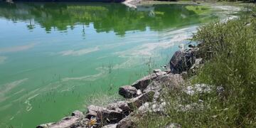 Contaminación Lago San Roque