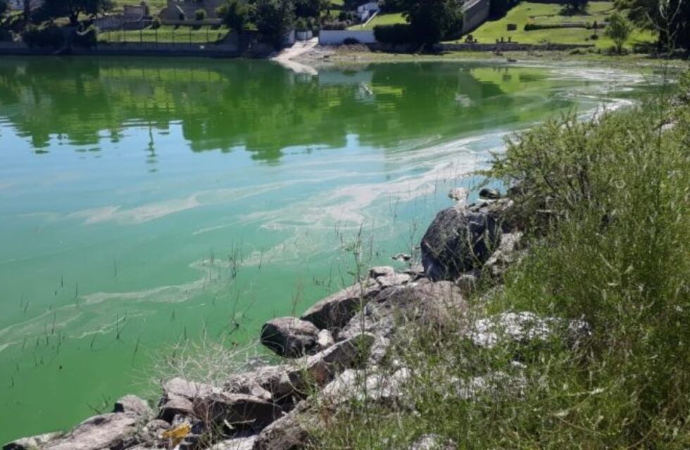 Toman medidas ante la aparición de cianobacterias en el Lago San Roque