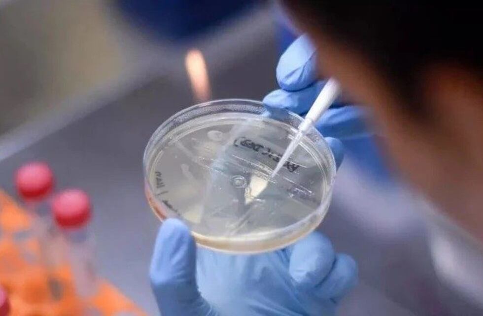 Los vecinos de Jaime Prats vuelven a respirar tranquilos