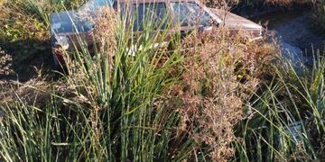 Despiste Ruta 14\nCrédito: Máxima Online