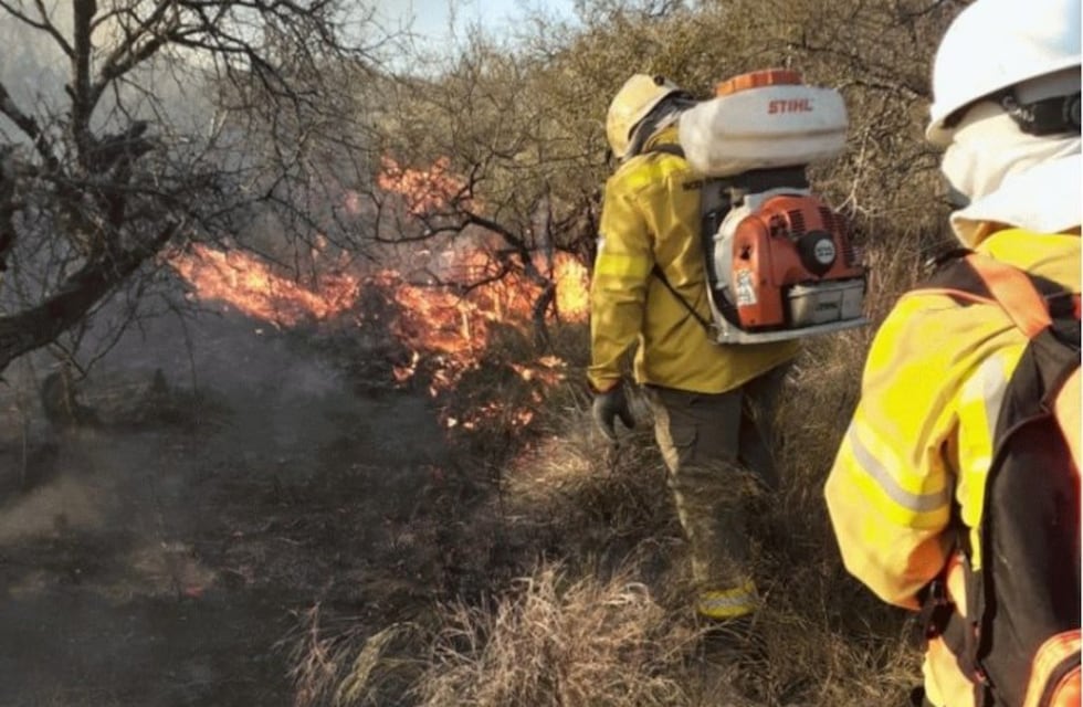 Los incendios forestales no dan tregua en Feliciano
